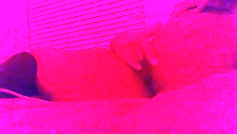 Suckolomy and get it's cock sucking