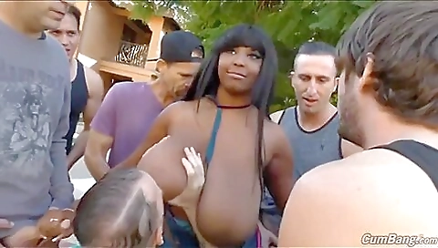 Greatest Tits - Teaser Video